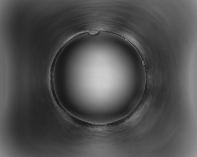 X0000088611047200705251217