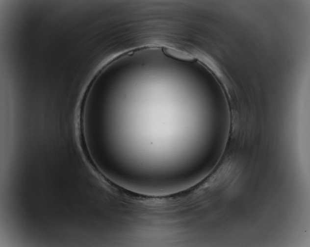 X0000088611048200705251217