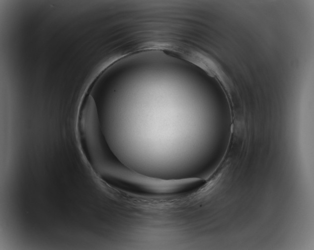 X0000088611050200705251217