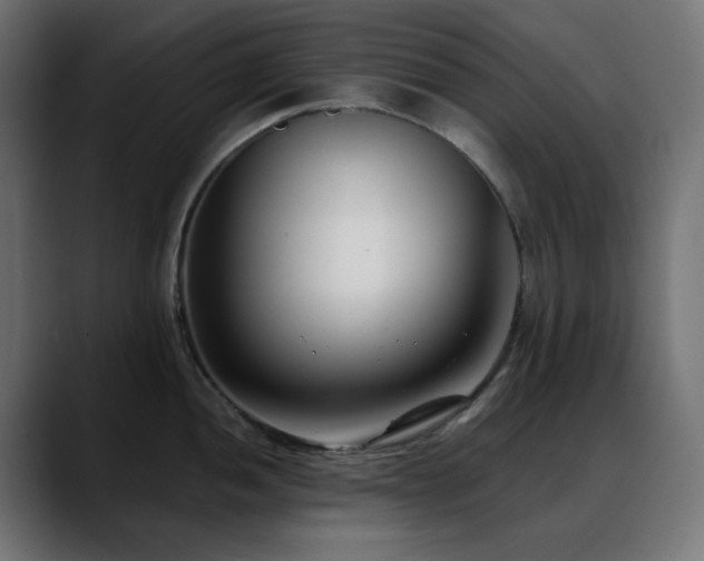 X0000088611052200705251217