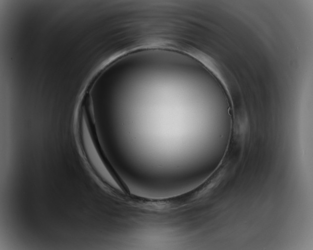 X0000088611053200705251217