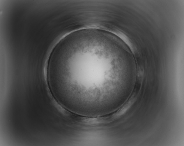 X0000088611054200705251217