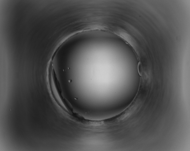 X0000088611055200705251217