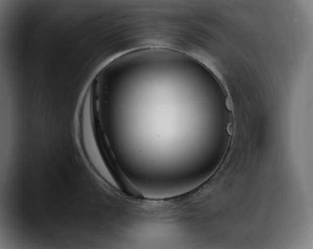 X0000088611056200705251217