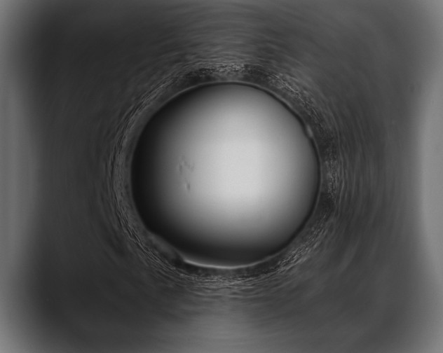 X0000088611057200705251216