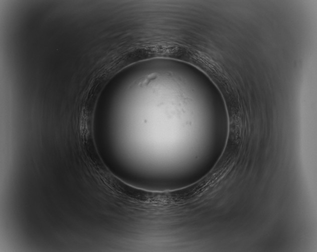 X0000088611058200705251216