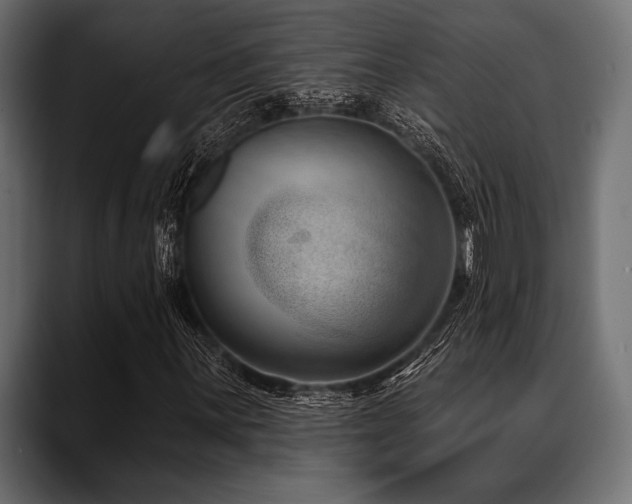 X0000088611059200705251216