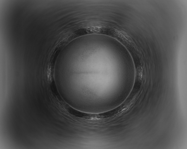 X0000088611060200705251216