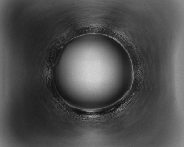 X0000088611061200705251216