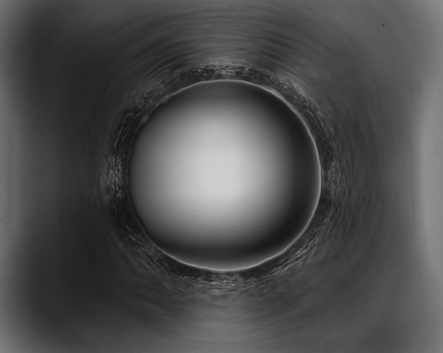 X0000088611062200705251216