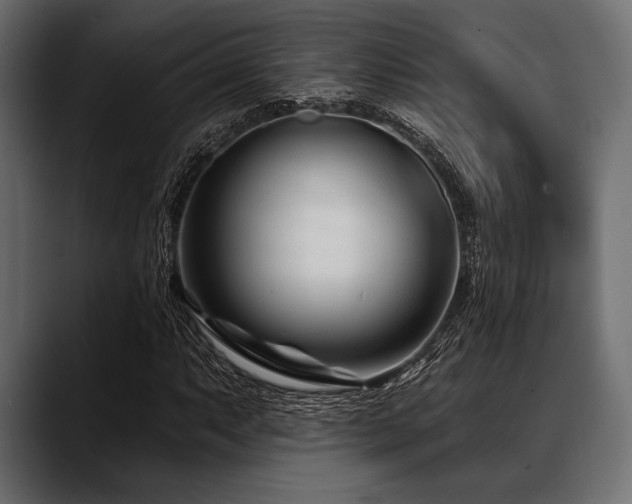 X0000088611063200705251216