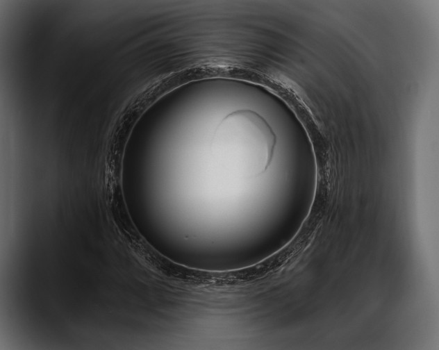 X0000088611064200705251216