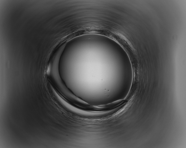 X0000088611065200705251216