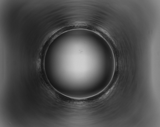 X0000088611066200705251216