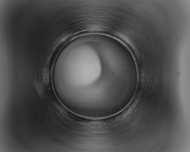 X0000088611067200705251216