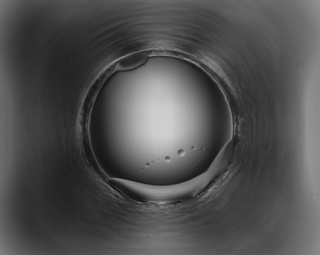 X0000088611068200705251216