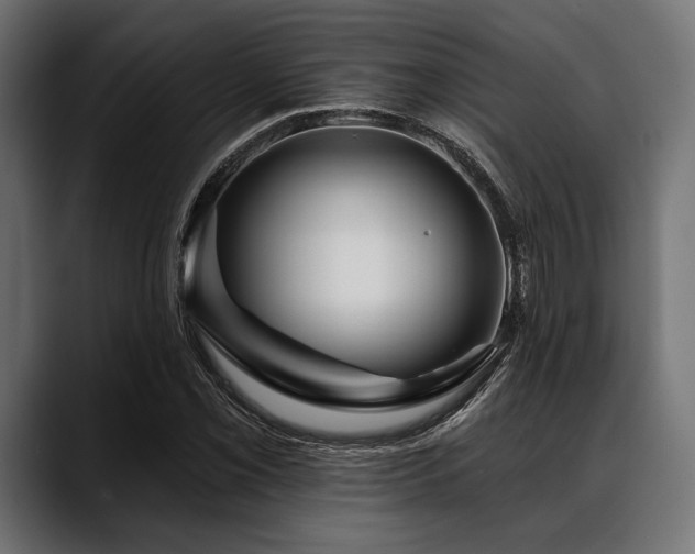 X0000088611069200705251216