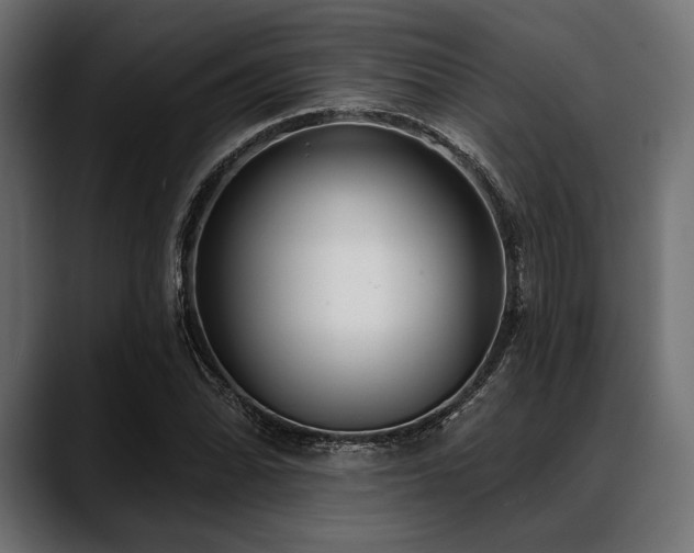 X0000088611070200705251216