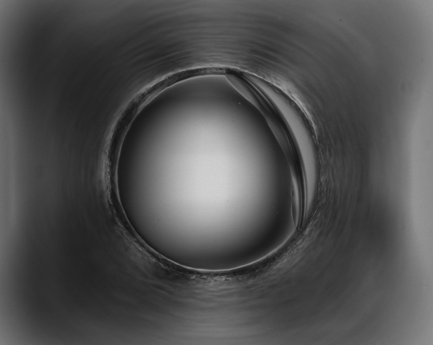 X0000088611072200705251216