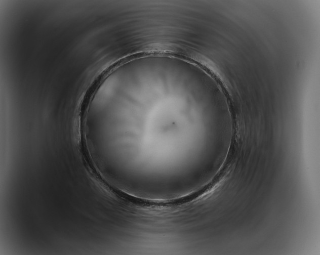 X0000088611075200705251216