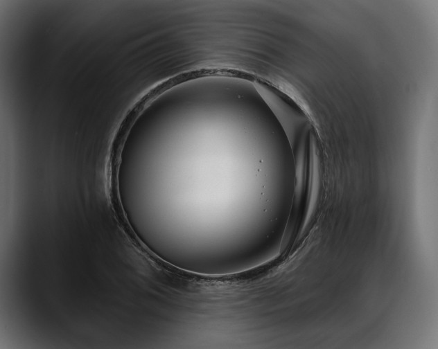 X0000088611076200705251216