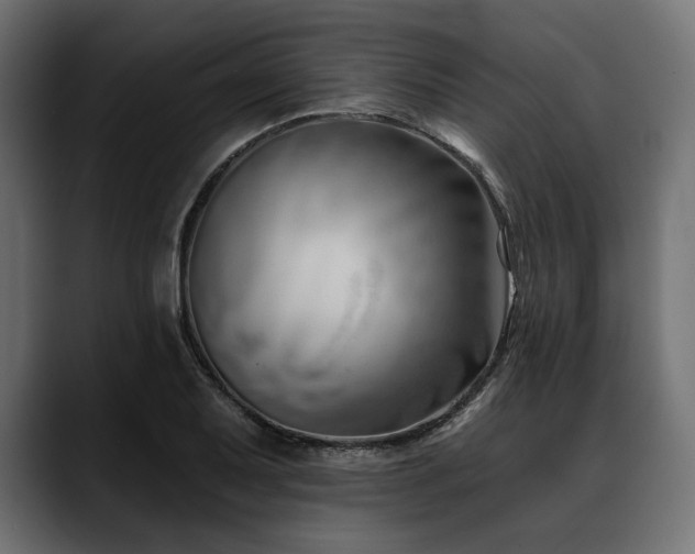 X0000088611079200705251216