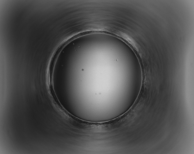 X0000088611080200705251216