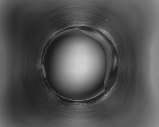 X0000088611081200705251216