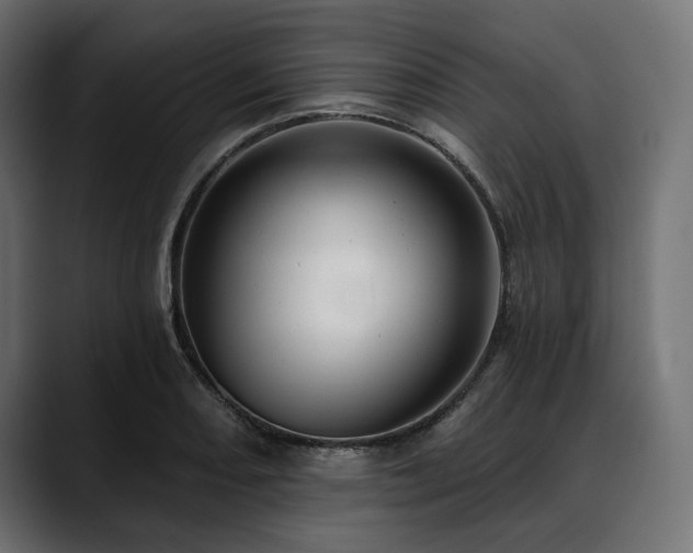 X0000088611082200705251216