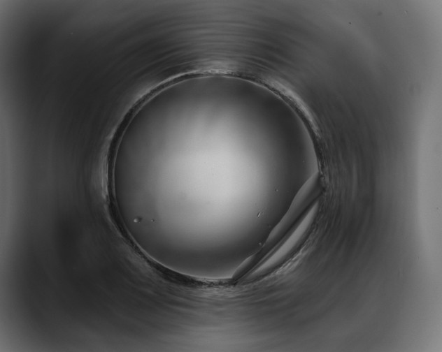 X0000088611083200705251216