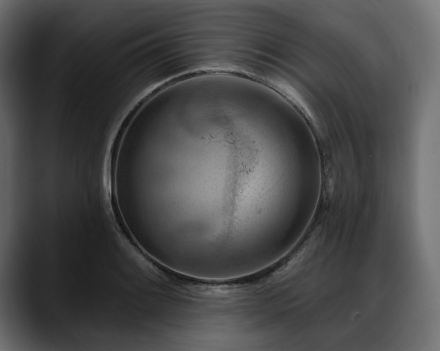 X0000088611084200705251216