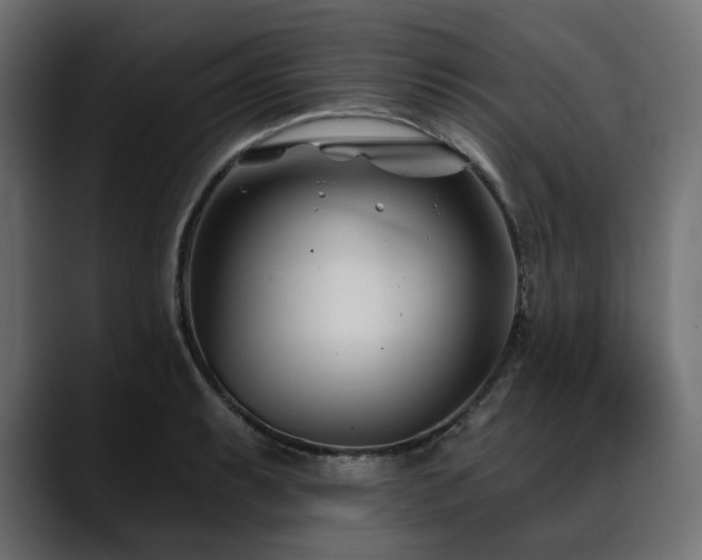 X0000088611087200705251216