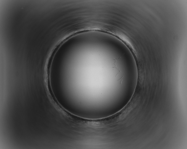 X0000088611088200705251216