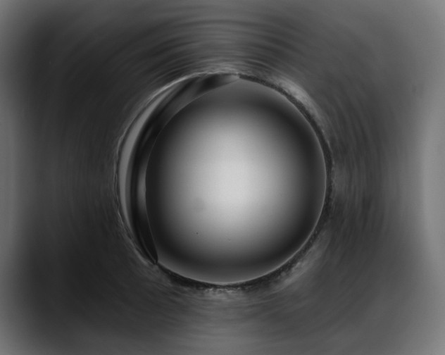 X0000088611089200705251216