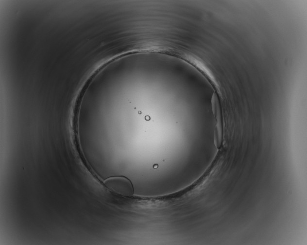 X0000088611091200705251216