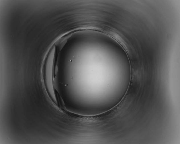 X0000088611092200705251216