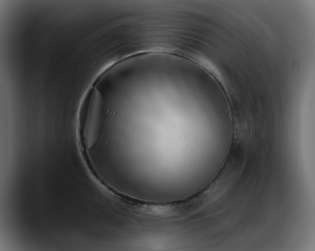 X0000088611095200705251216