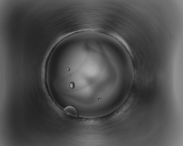 X0000088611099200705251216