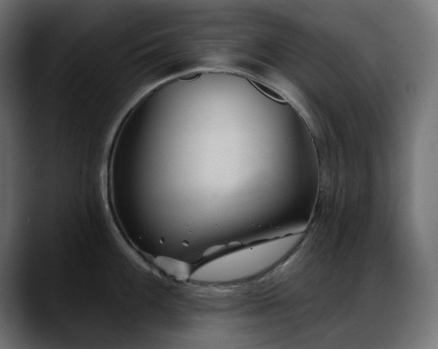 X0000088611100200705251216