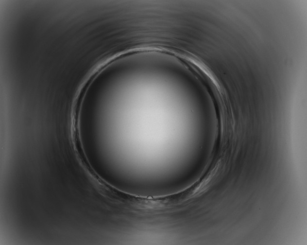 X0000088611101200705251216