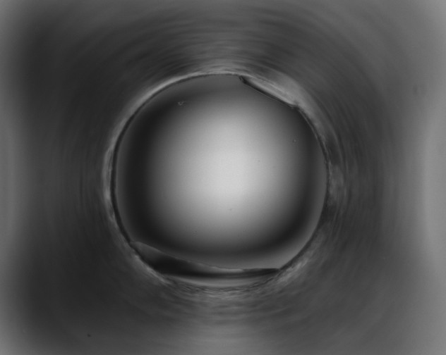 X0000088611102200705251216