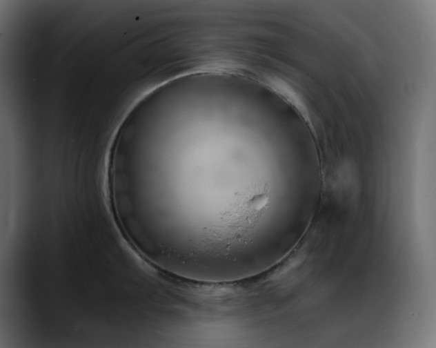 X0000088611103200705251216