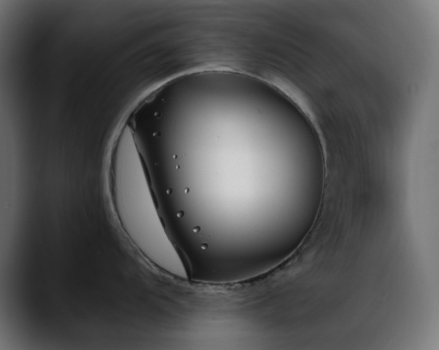 X0000088611104200705251216