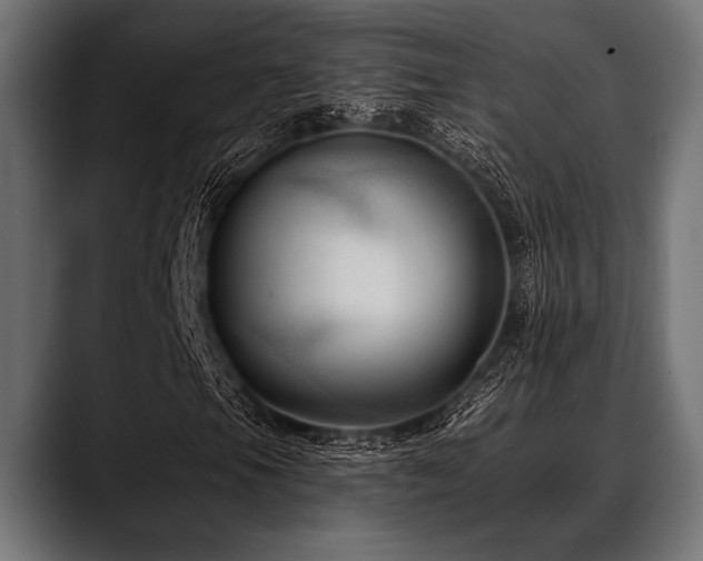 X0000088611105200705251215