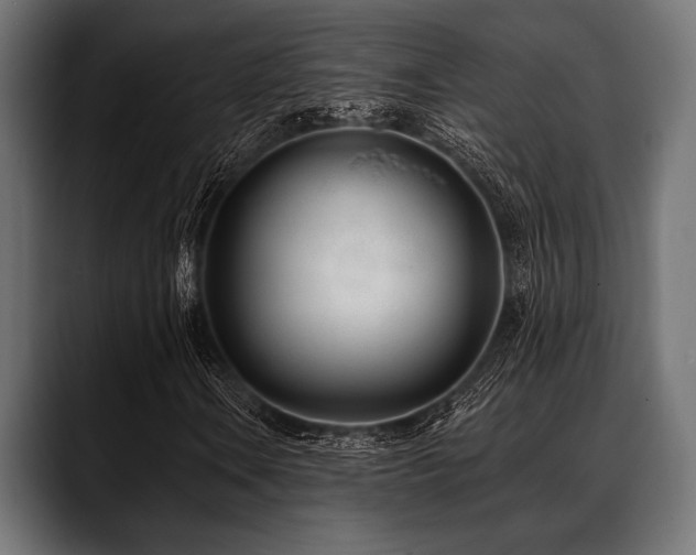 X0000088611106200705251215