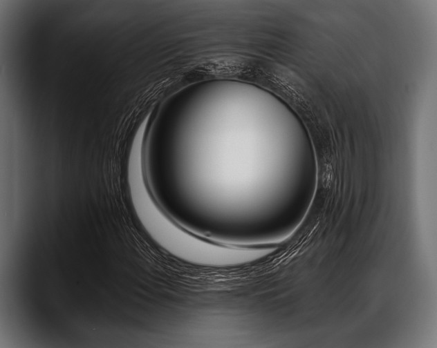 X0000088611108200705251215