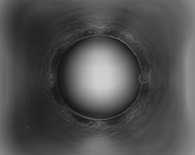 X0000088611109200705251215