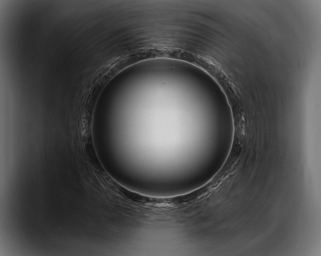 X0000088611110200705251215