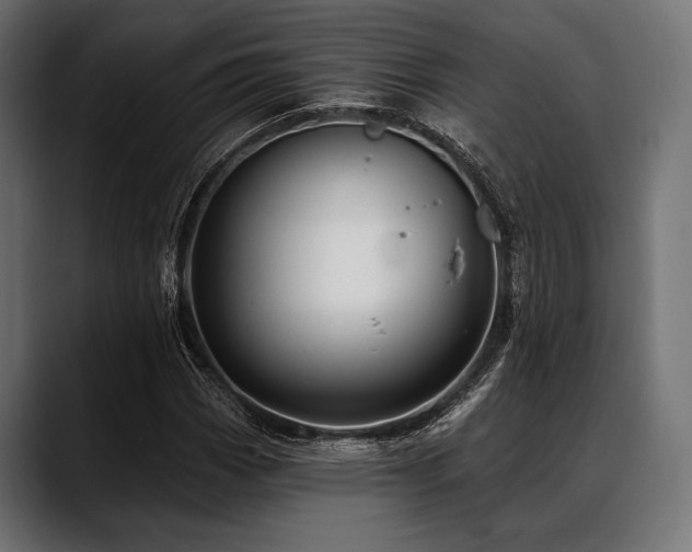 X0000088611113200705251215