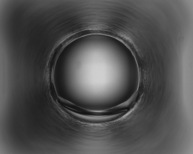 X0000088611114200705251215